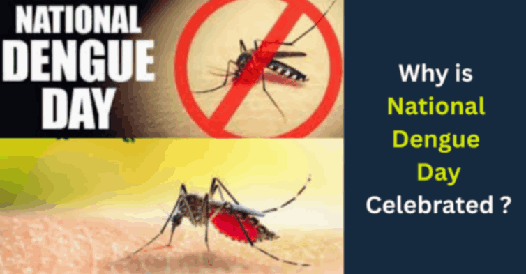 National Dengue Day