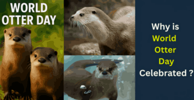 World Otter Day