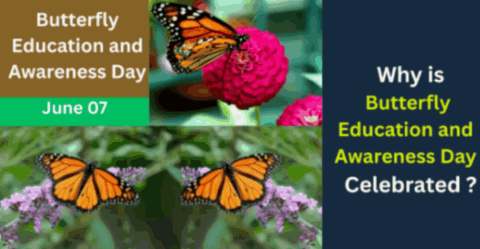 Butterfly Education and Awareness Day