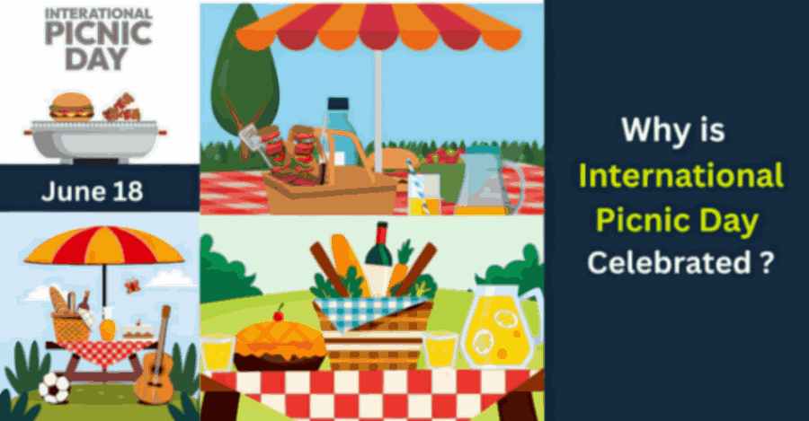 International Picnic Day