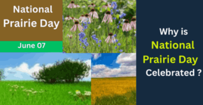 National Prairie Day