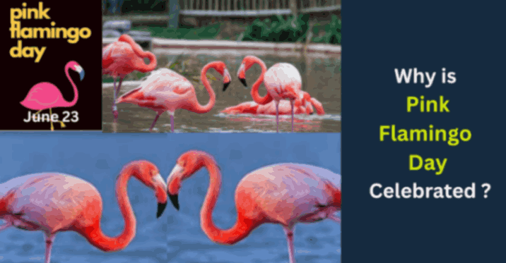 Pink Flamingo Day