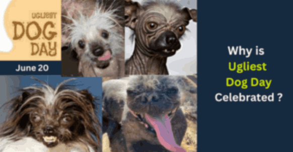 Ugliest Dog Day