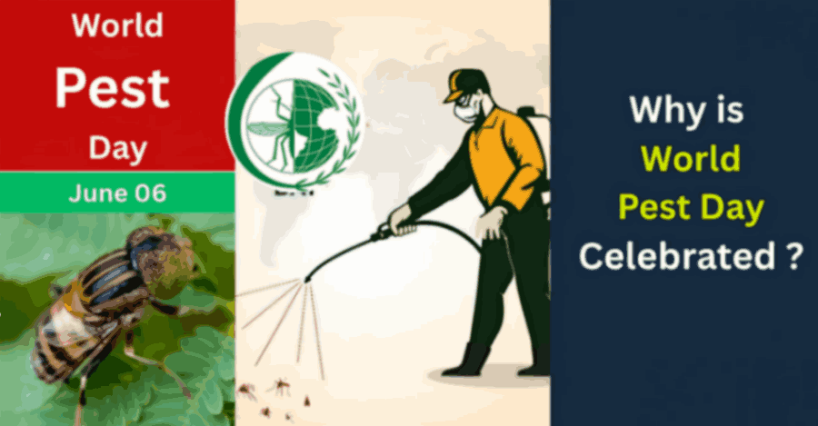 World Pest Day