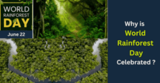 World Rainforest Day
