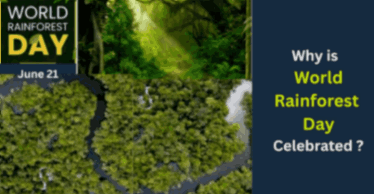 World Rainforest Day