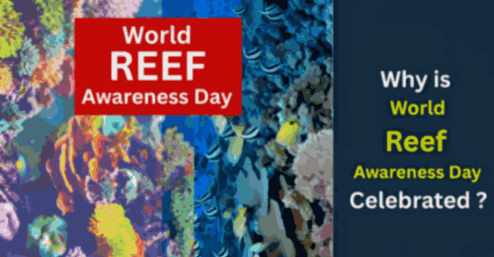 World Reef Awareness Day